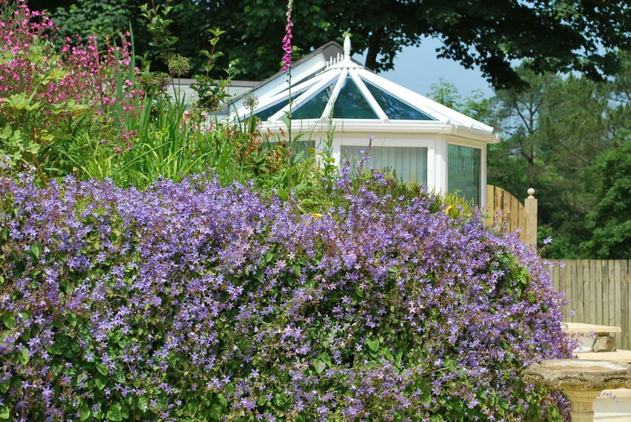 The Lodge, Polgooth เซนต์ออสเทลล์ ภายนอก รูปภาพ